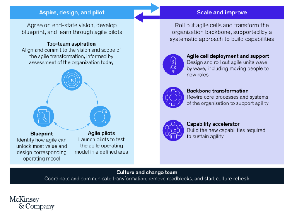 mckinsey ing agile case study